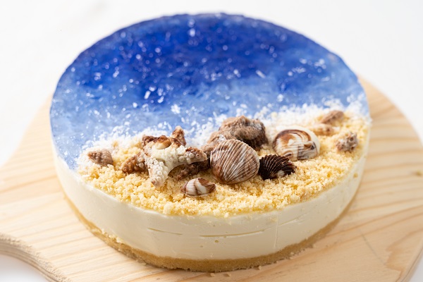 no baked ocean blue cheese cake with chocolate seashells decoration
