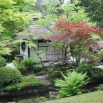 quelles plantes mettre dans un jardin japonais