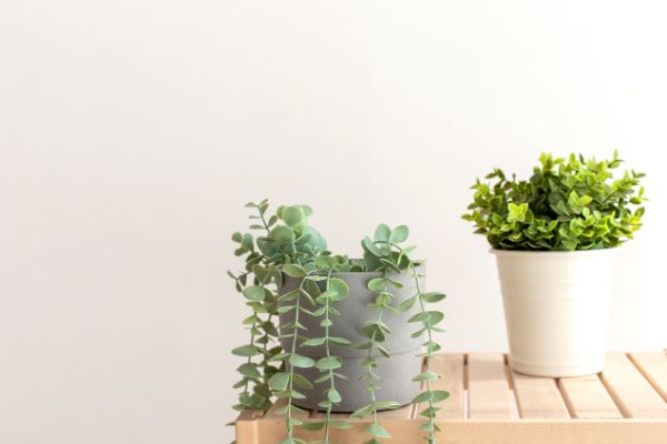 mini plantes artificielles decoration